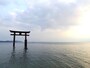 白鬚神社