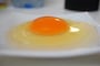 高嶺の卵。黄身が盛り上がっています。味も濃厚！