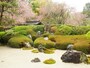 明月院の庭園　御朱印をいただく間に眺める情緒ある風景