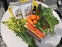 お買い物した野菜や調味料。みずみずしくておいしい