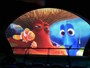 『ファインディング・ドリー』の仲間たちも登場！