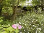 覚園寺