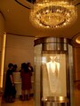 「Praise to Nature」ネックレス