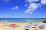 夏のボーナス、注目の投資先は