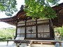 宇治神社 桐原殿