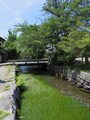 問屋場前の梅花藻
