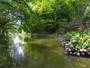 初夏の八幡堀