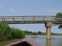 橋