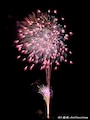 いせさき花火大会