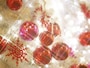 クリスマスムードで華やぐ12月生まれ
