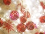 クリスマスムードで華やぐ12月生まれ