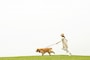 愛犬の首輪嫌いを克服して楽しいワンコライフを送ろう！