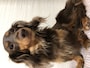 悩む時間も愛犬との絆を育む時間