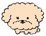 トイプードル　イラスト　年賀状　カラー　かわいい