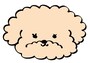 トイプードル　イラスト　年賀状　カラー　かわいい