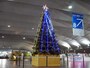 2階ロビーに設置された約7mのツリー。後ろには日本情緒が感じられるミニ日本庭園も（2017年12月1日撮影）