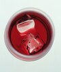 ヌーボーの新しい飲み方！ソーダ割りで「ハイボール・ヌーボー」