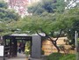 入り口のモミジは少しだけ色づいていた