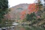 嵐山渓谷の紅葉