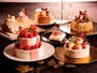 帝国ホテル東京　クリスマスケーキ2017