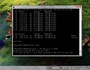 iperf3での測定様子