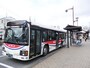 梅まつり期間中に運行される越生駅からのシャトルバス