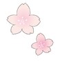 桜の花　イラスト　カラー　かわいい