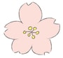 桜の花　イラスト　カラー　かわいい