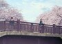 (C)2017「君の膵臓をたべたい」製作委員会 (C)住野よる/双葉社