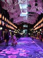 日本橋桜フェスティバル　SAKURA TUNNEL