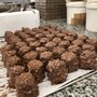 見るからに美味しそう！