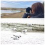 310種類の鳥が訪れます