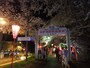 斐伊川堤防桜並木（12）／ライトアップ