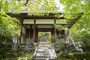 常寂光寺の仁王門