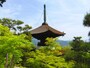 常寂光寺の多宝塔