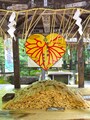 願いが込められた護摩木