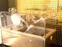 ブティック内にはコンチングマシーンが