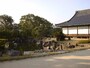 二条城（7）