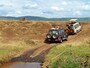 メスのライオンと4WD