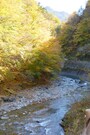 中津峡の相原橋の河原から見る紅葉（撮影2014年11月3日）