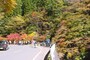 県道210号線は絶好のドライブコース（撮影2014年11月3日）