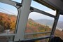 宝登山ロープウエイから見る宝登山の紅葉（撮影2014年11月24日）