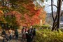 宝登山の山道を紅葉ハイキング（撮影2014年11月24日）
