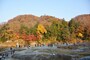 秋の化粧をする長瀞岩畳（撮影2014年11月24日）