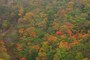 日光　紅葉　霜降高原