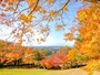 紅葉＠卯辰山公園