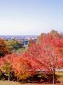 紅葉＠卯辰山公園