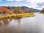 紅葉＠浅野川