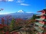 新倉山浅間公園の紅葉