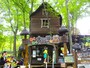 わくわく大冒険の森　入口